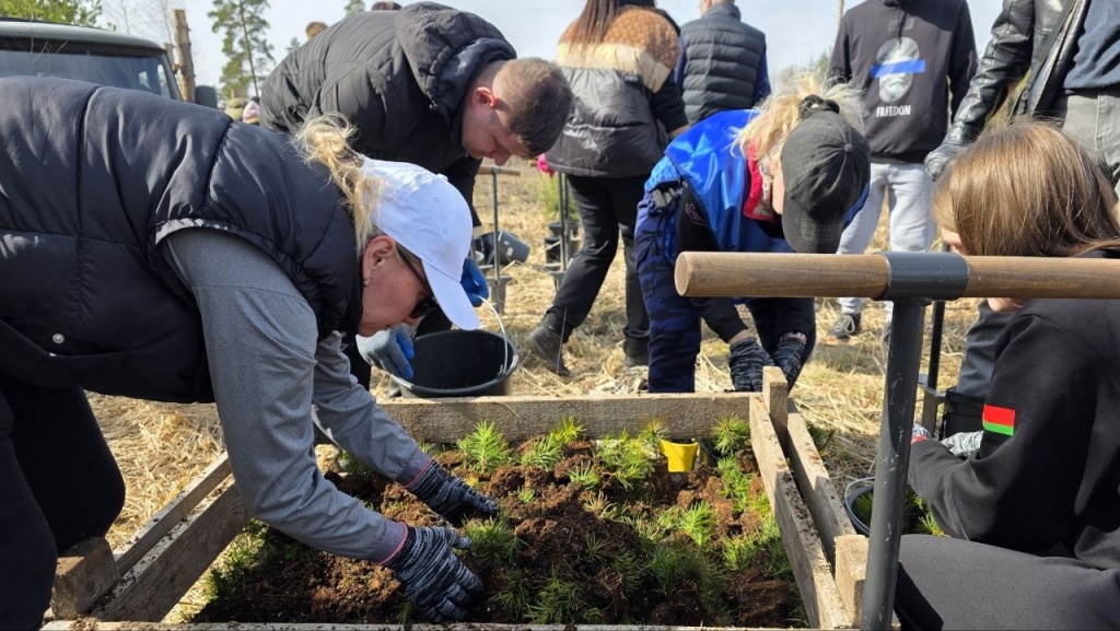 photo_2026-04-03_14-44-17 (3).jpg