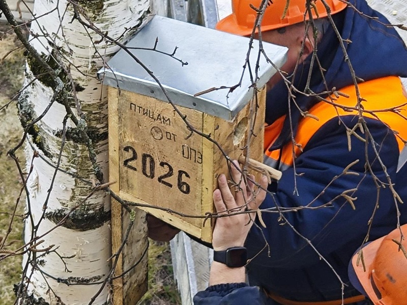 Общегородской субботник 2026