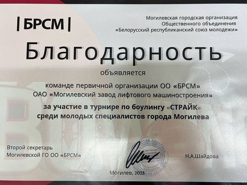  Молодые специалисты ОАО "Могилевлифтмаш" приняли участие в  городских соревнованиях по боулингу среди первичных организаций ОО "БРСМ"! 