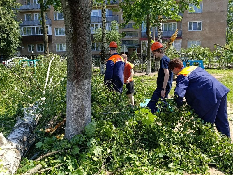 МОЛОДЕЖЬ МОГИЛЕВЛИФТМАШ СПЕШИТ НА ПОМОЩЬ ПОДШЕФНОМУ САДУ