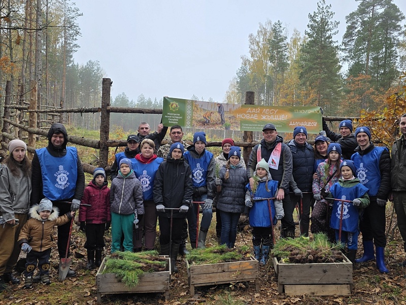 СОВМЕСТНЫЕ УСИЛИЯ ДЛЯ ЗЕЛЕНЫХ ЛЕСОВ!