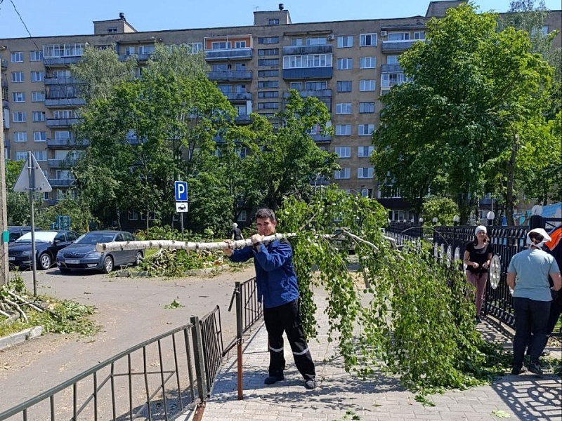 МОЛОДЕЖЬ МОГИЛЕВЛИФТМАШ СПЕШИТ НА ПОМОЩЬ ПОДШЕФНОМУ САДУ