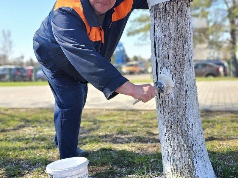 Хозяйский подход: коллектив ОАО «Могилевлифтмаш» благоустраивает заводскую территорию