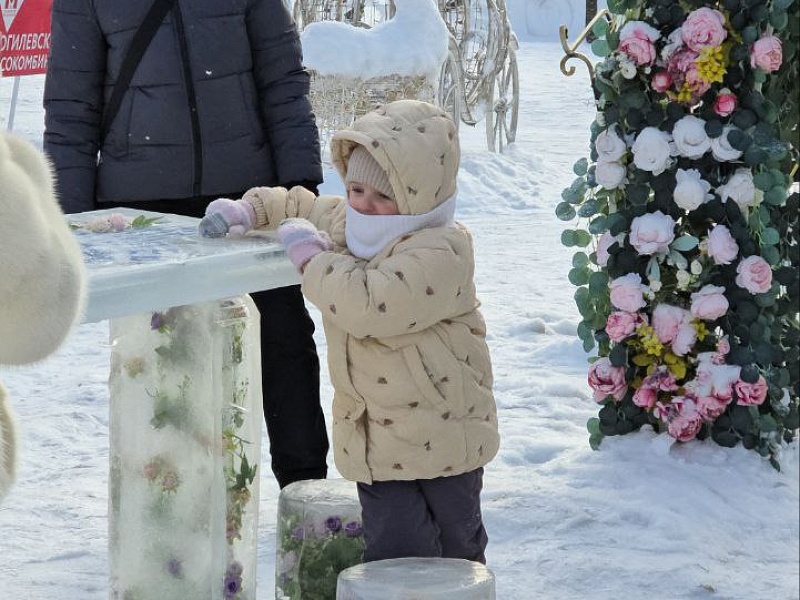 Могилевлифтмаш ПОБЕДИТЕЛЬ городского конкурса "Снежная сказка Могилева"