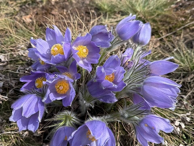 К республиканской акции «Лес! Дабро! Парадак!» присоединился трудовой коллектив ОАО "Могилевлифтмаш"