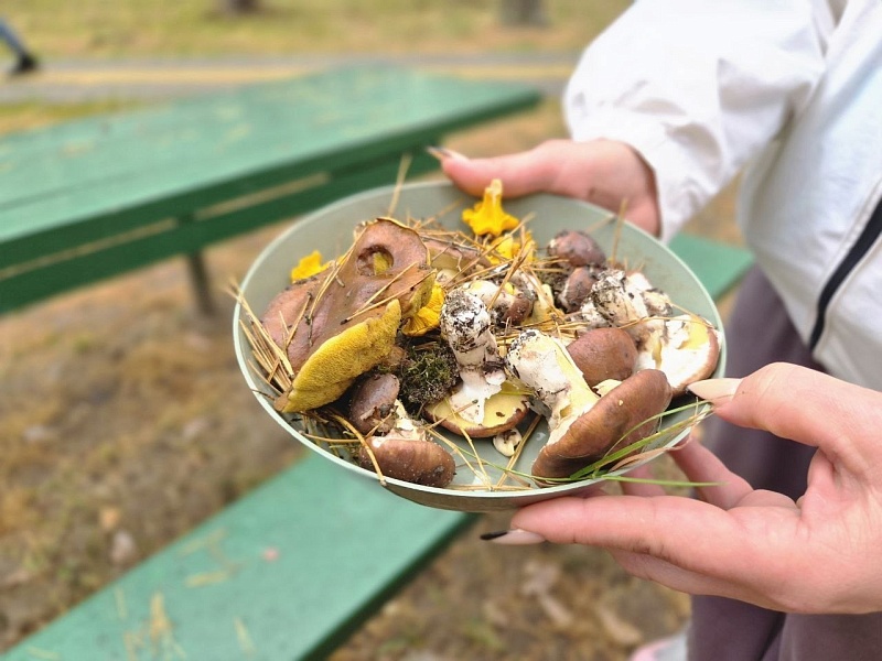 Семейный праздник лифтостроителей: «ВМЕСТЕ СОЗДАЕМ БУДУЩЕЕ-2026»