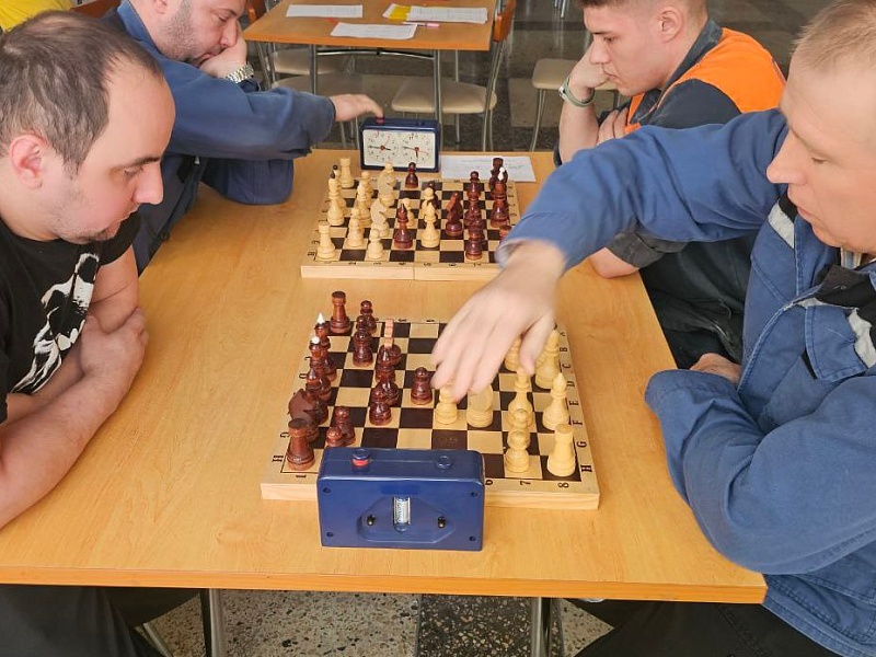 ШАХ И МАТ: ПОБЕДИТЕЛИ ТУРНИРА ПО ШАХМАТАМ 2026