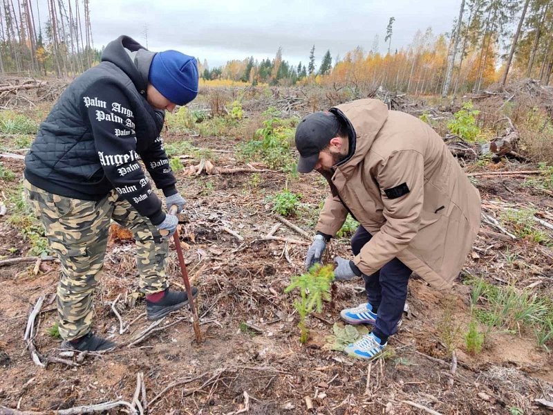 Молодежь Могилевлифтмаш внесла свой вклад в озеленение нашей страны, приняв участие в республиканской акции "ДАЙ ЛЕСУ НОВАЕ ЖЫЦЦЁ"