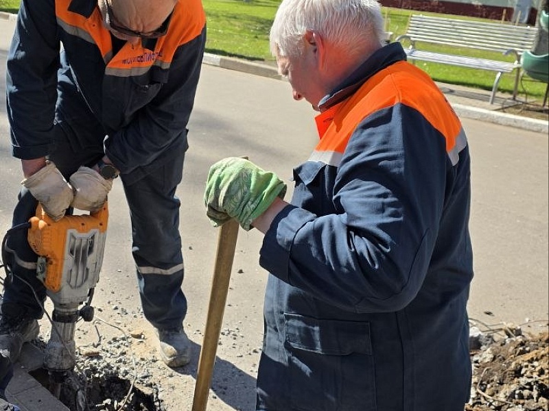 Хозяйский подход: коллектив ОАО «Могилевлифтмаш» благоустраивает заводскую территорию