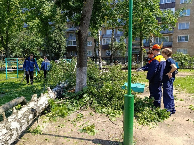 МОЛОДЕЖЬ МОГИЛЕВЛИФТМАШ СПЕШИТ НА ПОМОЩЬ ПОДШЕФНОМУ САДУ