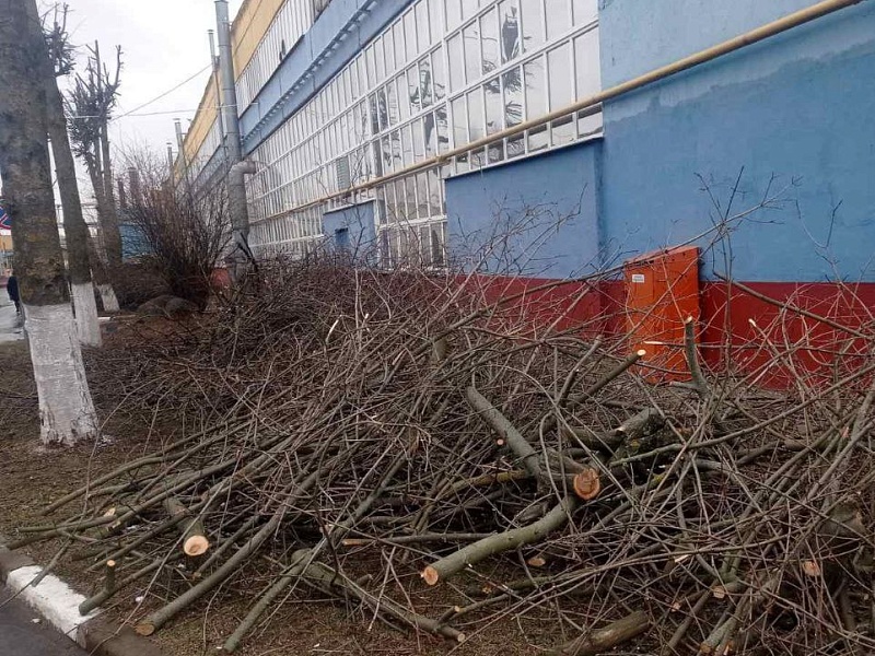  Года благоустройства на Могилевлифтмаш